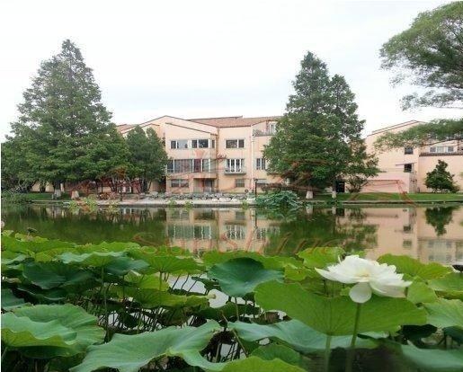 丽京花园壁挂炉案例