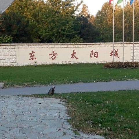 北京大志伟业 东方太阳城桃花源 小区实景